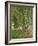 Undergrowth at Moret, 1902-Camille Pissarro-Framed Giclee Print