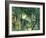 Undergrowth, C.1885-Paul Cézanne-Framed Giclee Print