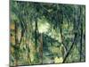 Undergrowth, C.1885-Paul Cézanne-Mounted Giclee Print
