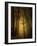 Undergrowth-Norbert Maier-Framed Photographic Print