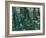 Undergrowth-Vincent van Gogh-Framed Giclee Print