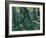 Undergrowth-Vincent van Gogh-Framed Giclee Print