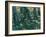 Undergrowth-Vincent van Gogh-Framed Giclee Print