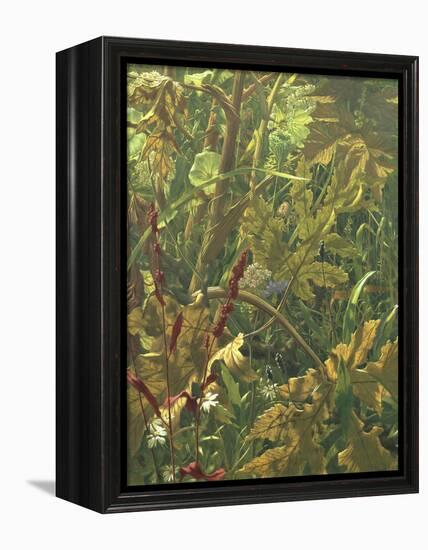 Undergrowth-Eliot Hodgkin-Framed Premier Image Canvas