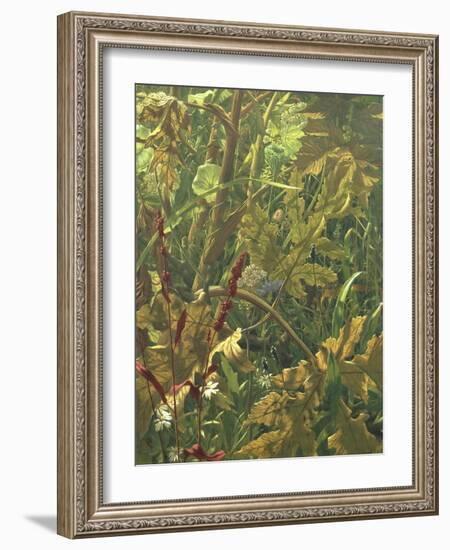 Undergrowth-Eliot Hodgkin-Framed Giclee Print