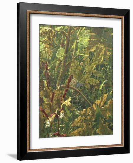 Undergrowth-Eliot Hodgkin-Framed Giclee Print