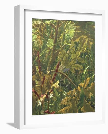 Undergrowth-Eliot Hodgkin-Framed Giclee Print