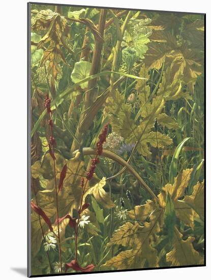 Undergrowth-Eliot Hodgkin-Mounted Giclee Print