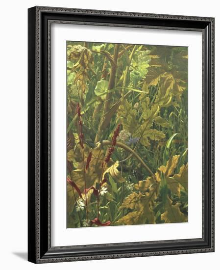 Undergrowth-Eliot Hodgkin-Framed Giclee Print