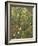 Undergrowth-Eliot Hodgkin-Framed Giclee Print