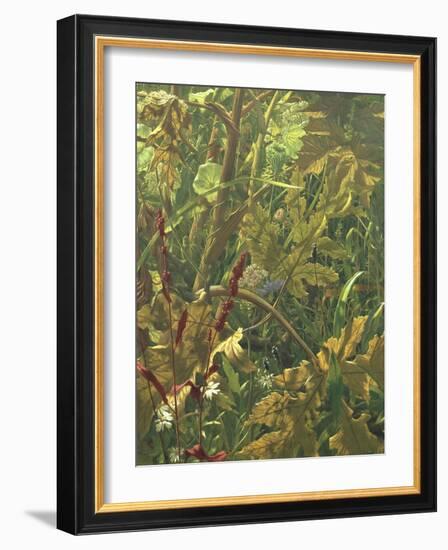 Undergrowth-Eliot Hodgkin-Framed Giclee Print