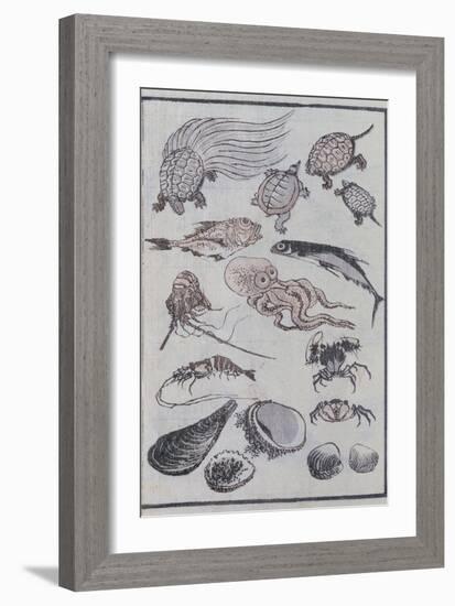 Undersea Creatures, from a Manga (Colour Woodblock Print)-Katsushika Hokusai-Framed Giclee Print