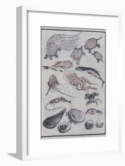 Undersea Creatures, from a Manga (Colour Woodblock Print)-Katsushika Hokusai-Framed Giclee Print