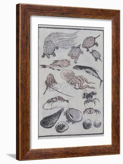 Undersea Creatures, from a Manga (Colour Woodblock Print)-Katsushika Hokusai-Framed Giclee Print