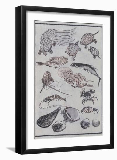 Undersea Creatures, from a Manga (Colour Woodblock Print)-Katsushika Hokusai-Framed Giclee Print