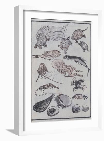 Undersea Creatures, from a Manga (Colour Woodblock Print)-Katsushika Hokusai-Framed Giclee Print