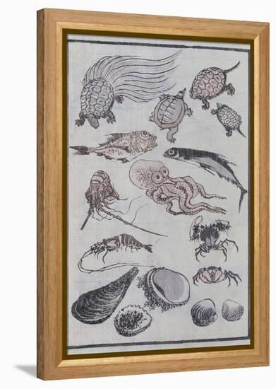 Undersea Creatures, from a Manga (Colour Woodblock Print)-Katsushika Hokusai-Framed Premier Image Canvas