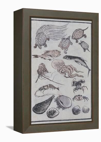 Undersea Creatures, from a Manga (Colour Woodblock Print)-Katsushika Hokusai-Framed Premier Image Canvas