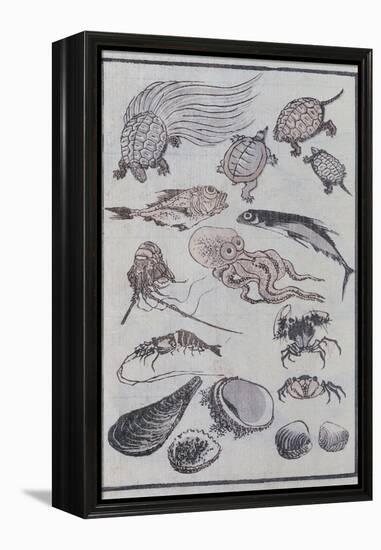 Undersea Creatures, from a Manga (Colour Woodblock Print)-Katsushika Hokusai-Framed Premier Image Canvas