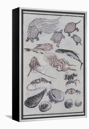 Undersea Creatures, from a Manga (Colour Woodblock Print)-Katsushika Hokusai-Framed Premier Image Canvas