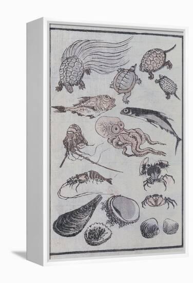 Undersea Creatures, from a Manga (Colour Woodblock Print)-Katsushika Hokusai-Framed Premier Image Canvas