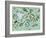 Undersea Creatures-Carla Martell-Framed Giclee Print