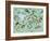 Undersea Creatures-Carla Martell-Framed Giclee Print