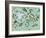 Undersea Creatures-Carla Martell-Framed Giclee Print