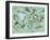 Undersea Creatures-Carla Martell-Framed Giclee Print