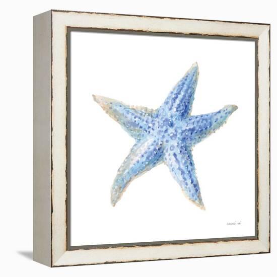 Undersea Starfish-Danhui Nai-Framed Stretched Canvas