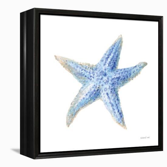 Undersea Starfish-Danhui Nai-Framed Stretched Canvas