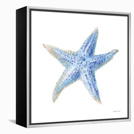 Undersea Starfish-Danhui Nai-Framed Stretched Canvas