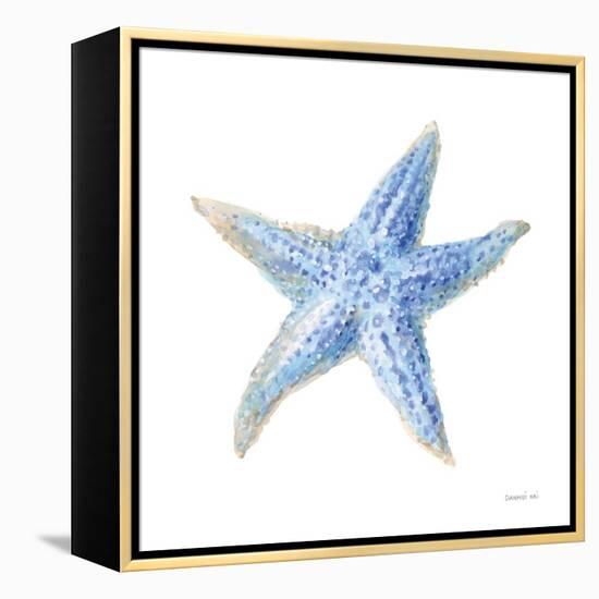 Undersea Starfish-Danhui Nai-Framed Stretched Canvas