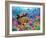 Undersea Treasure-Adrian Chesterman-Framed Art Print