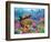 Undersea Treasure-Adrian Chesterman-Framed Premium Giclee Print