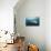 Underside View of a Giant Oceanic Manta Ray, Raja Ampat, Indonesia-null-Mounted Photographic Print displayed on a wall