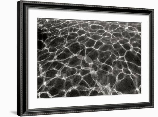 Underwater 2-Lee Peterson-Framed Photographic Print