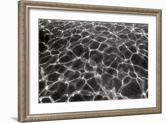 Underwater 2-Lee Peterson-Framed Photographic Print