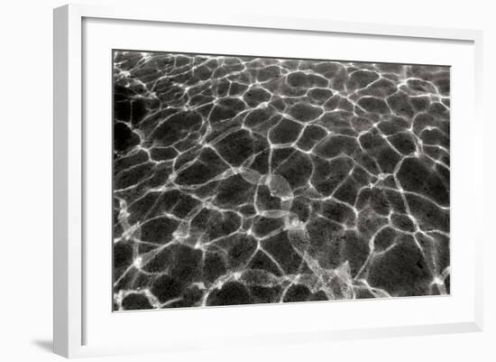 Underwater 2-Lee Peterson-Framed Photographic Print