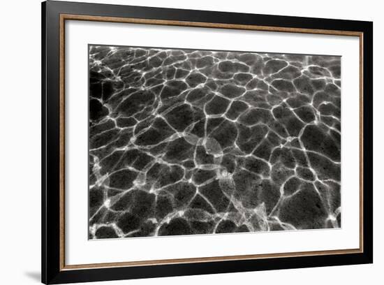 Underwater 2-Lee Peterson-Framed Photographic Print