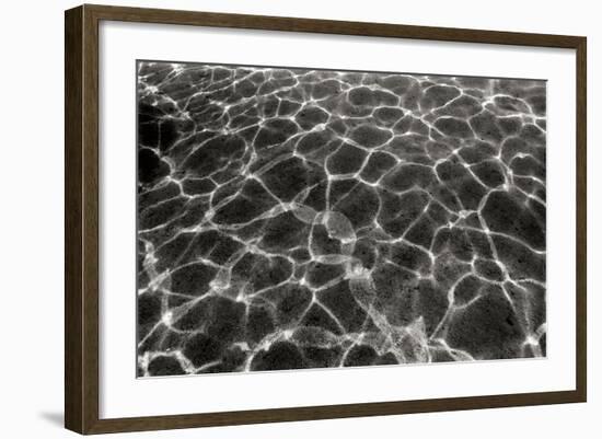 Underwater 2-Lee Peterson-Framed Photographic Print