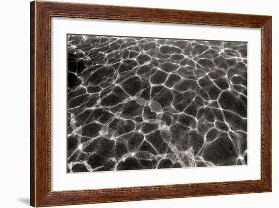 Underwater 2-Lee Peterson-Framed Photographic Print