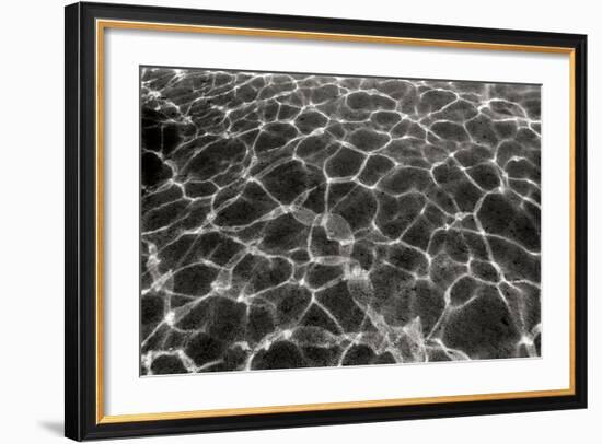 Underwater 2-Lee Peterson-Framed Photographic Print