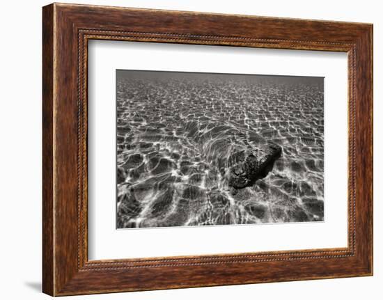 Underwater 3-Lee Peterson-Framed Photographic Print