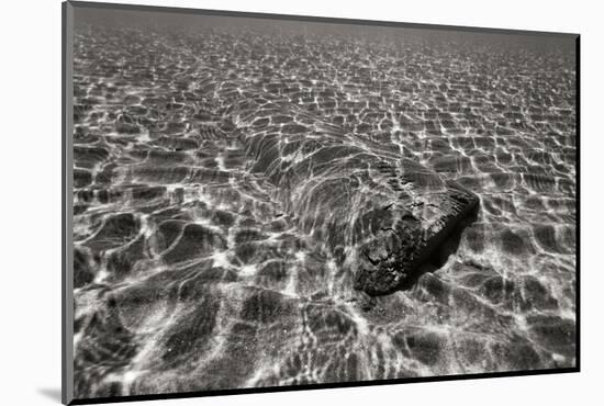 Underwater 3-Lee Peterson-Mounted Photographic Print