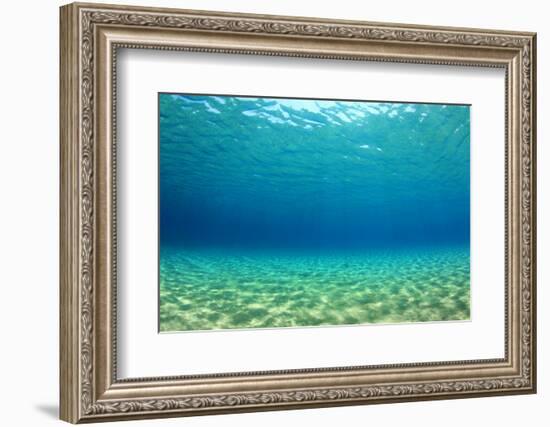 Underwater Background in Ocean-Rich Carey-Framed Photographic Print