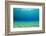 Underwater Background in Ocean-Rich Carey-Framed Photographic Print