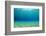 Underwater Background in Ocean-Rich Carey-Framed Photographic Print