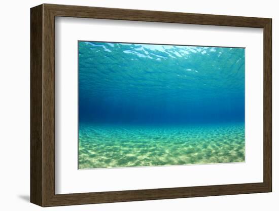 Underwater Background in Ocean-Rich Carey-Framed Photographic Print