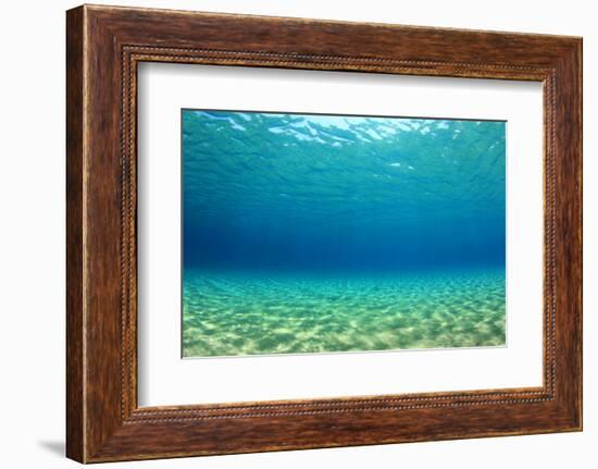 Underwater Background in Ocean-Rich Carey-Framed Photographic Print